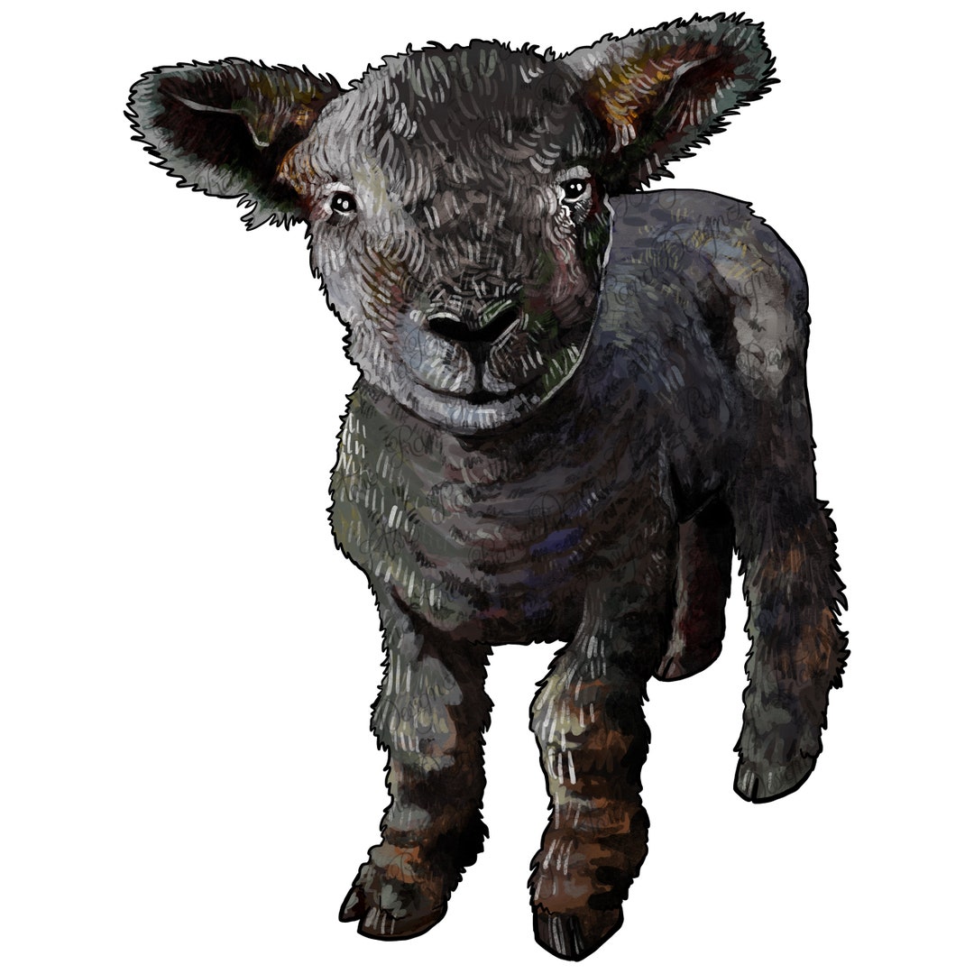 Southdown Baby Sheep Png Sublimation Design, Babydoll Sheep Png, Sheep ...