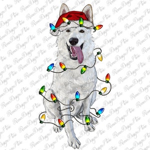 Christmas White Shepherd With Christmas Lights Png Sublimation Design, Christmas White Shepherd Png, White Shepherd Dog Png,Instant Download