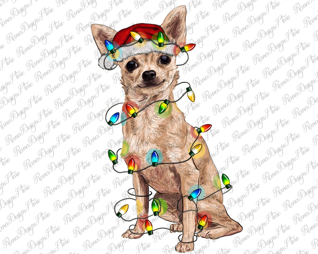 Chihuahua With Christmas Lights Png Sublimation Design Christmas chihuahua-with-christmas-lights-png-sublimation-design-christmas