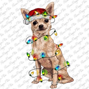 Chihuahua With Christmas Lights Png Sublimation Design, Christmas Chihuahua Png, Chihuahua Dog Png, Hand Drawn Chihuahua, Instant Download