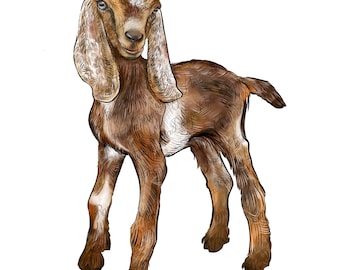 Baby Nubische geit png-sublimatieontwerp downloaden, geit png, boerderijdieren png, geit clipart, westelijke geit png, sublimeren ontwerpen downloaden