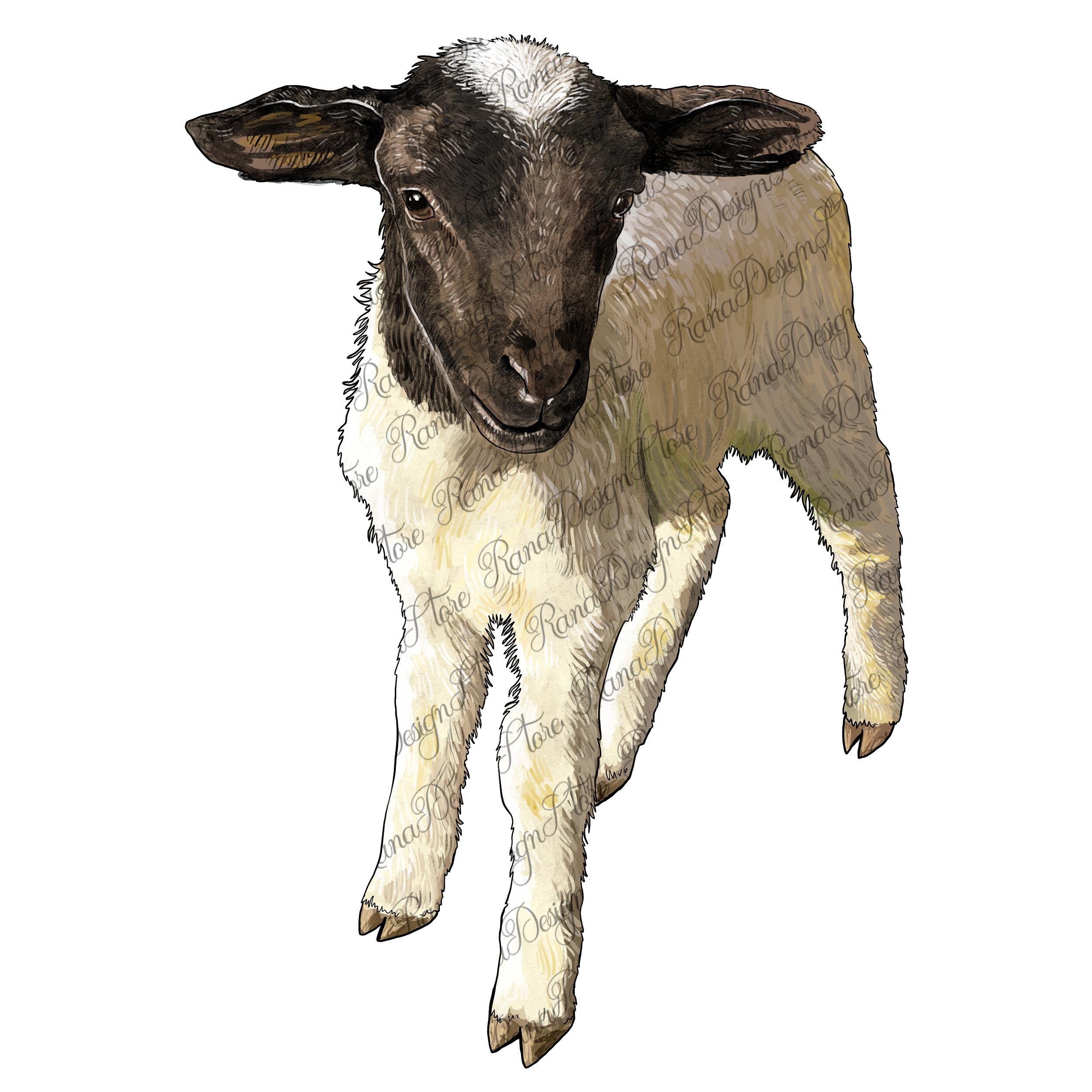 SHORT COURSE, image size:2500x2500