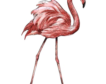 Pink flamingo png sublimation design download, animals png, flamingo png, tropical png, tropical birds png, sublimate designs download