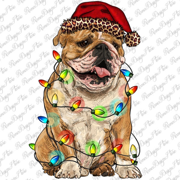 Christmas English Bulldog Png Sublimation Design, English Bulldog Png, English Dog Png, Hand Drawn Bulldog Png, Instant Download