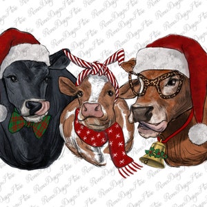 Christmas Cows Png Sublimation Design, Leopard Glasses, Black Angus Png, Heifer Png, Calf Png, Christmas Cattles Png, Instant Download