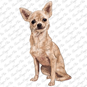 Chihuahua Portrait Png Sublimation Design, Dog Mom Png, Handdrawn Chihuahua Png, Dachshund Dog Png, Chihuahua Png, Instant Download