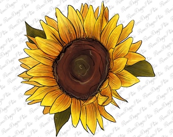 Sunflower Png Sublimation Design, Sunflower Png, Yellow Sunflower Png, Western Sunflower Png, Digital Download, Instant Download