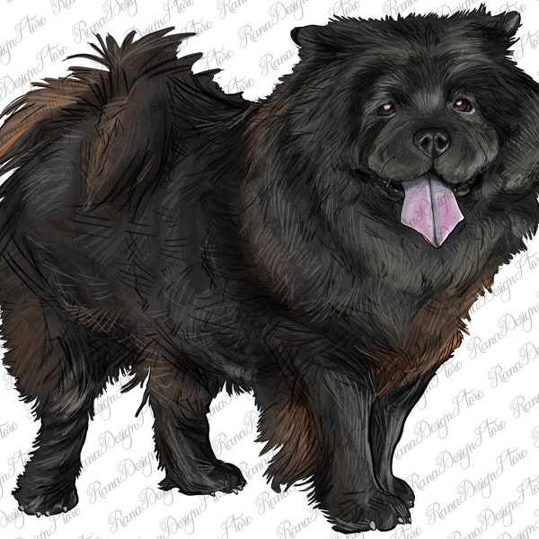 Black Chow Chow Png Sublimation Design, Chow Chow Png, Handdrawing Chow Chow Png, Chow Chow Dog, Western Chow Chow Png, Digital Downloads