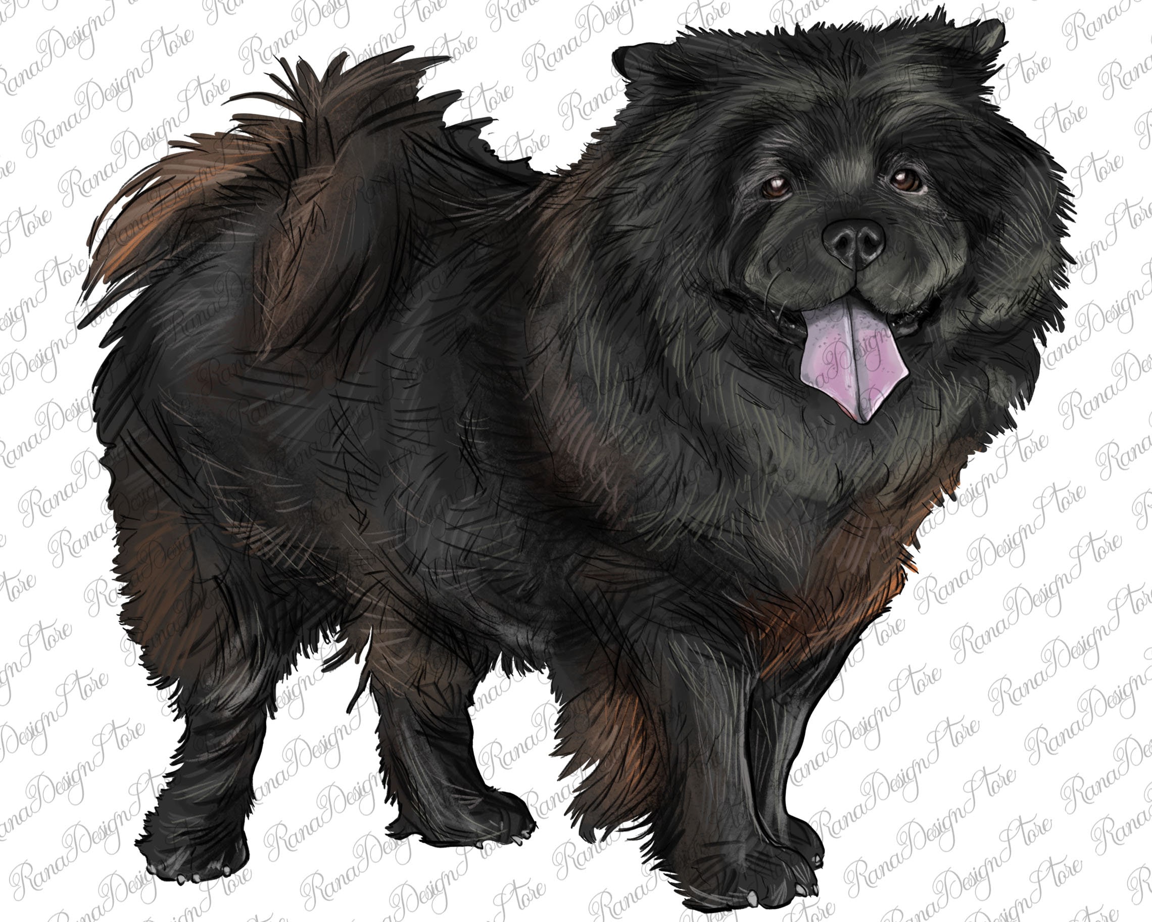 Black Chow Chow Png Sublimation Design, Chow Chow Png, Handdrawing Chow Chow Png, Chow Chow Dog, Western Chow Chow Png, Digital Downloads