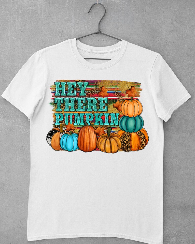 May include: White t-shirt with a graphic design of pumpkins and the text "Hey There Pumpkin" in teal and orange.