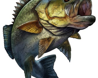 Jumping bass png sublimation design, fishing png, bass fishing png, hand drawn fish png,  fishing life png, lake fish png sublimate download
