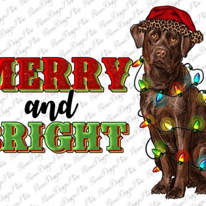 Merry And Bright Labrador Png Sublimation Design, Merry Christmas Dog Png, Western Christmas Labrador Png, Xmas Dog Png, Instant Download