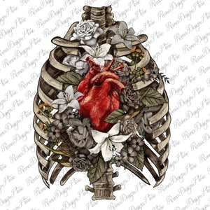 Skeleton Rib Cage Heart Png Sublimation Design, Hand Drawn Anatomical Heart Png, Human Heart Png,Anatomical Human Heart Png,Digital Download