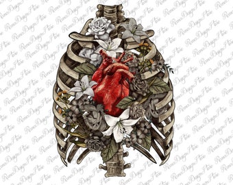 Skeleton Rib Cage Heart Png Sublimation Design, Hand Drawn Anatomical Heart Png, Human Heart Png,Anatomical Human Heart Png,Digital Download