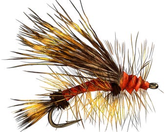 Fish fly png sublimation design, fishing png, hand drawn fish png, sea animals png, sea life png, fish png, sublimate designs download