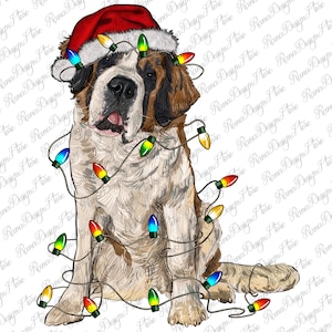 May include: A Saint Bernard dog wearing a red Santa hat and surrounded by colorful Christmas lights.