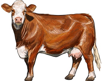 Simmental cow png sublimate designs download, hand drawing Simmental cow png, cow png, cattle png, western cow png, sublimate download