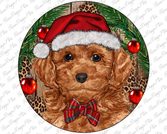 クリスマス トイプードル オーナメント PNG、トイプードル 昇華、西洋