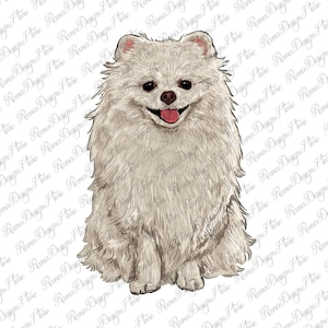 White Pomeranian Png, Sublimation Design, Western White Pomeranian Png, Hand Drawn White Pomeranian Png, White Pomeranian Clipart