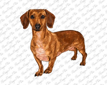 Dachshund Portrait Png Sublimation Design, Dog Mom Png, Handdrawn Dachshund Png, Dachshund Dog Png, Dachshund Png, Instant Download