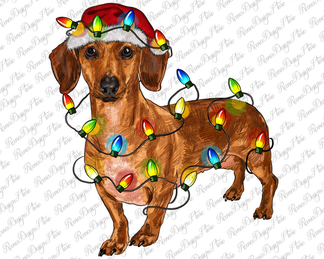 Dachshund Christmas Lights Png Sublimation Design,dog Mom Png,western ...