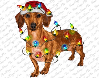 Dachshund Christmas Lights Png Sublimation Design,Dog Mom Png,Western Christmas Png,Santa Hat Dog Png,Christmas Light,Instant Download