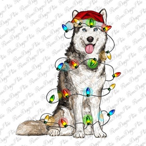 Husky Christmas Lights Png Sublimation Design,Dog Mom Png,Western Christmas Png, Husky with Xmas Hat Png,Christmas Light,Instant Download