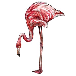 Flamingo png sublimation design download, animals png, flamingo png, tropical png, tropical birds png, sublimate designs download