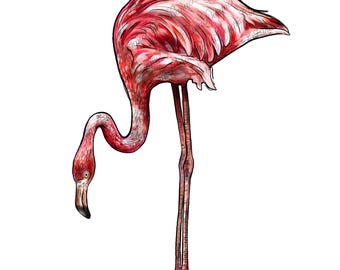 Flamingo png sublimation design download, animals png, flamingo png, tropical png, tropical birds png, sublimate designs download