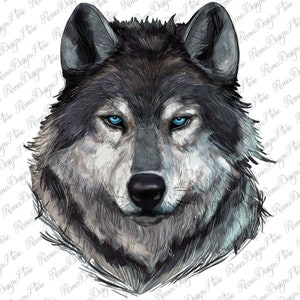 May include: A close-up of a wolf's face with blue eyes. The wolf is drawn in a realistic style with shades of gray and white.