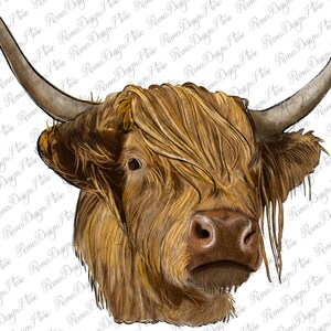 May include: A close-up of a Highland cow's head with long, shaggy brown fur. The cow has a light brown nose and large, dark eyes.