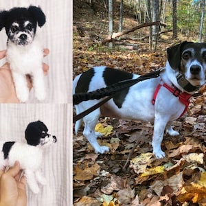 Custom Stuffed Dog, Custom Dog Plush, Custom Crochet Dog, Custom Stuffed Animal, Personalized Pet Gift, Pet Memorial, Pet Stuffed Animal