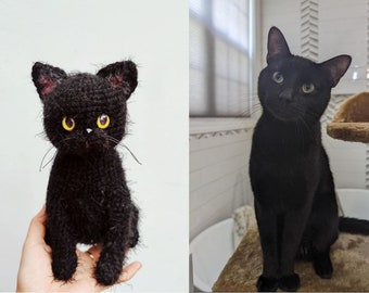 Ty ビーニーベイビー「ジェイデン」シャム猫ぬいぐるみ（6インチ