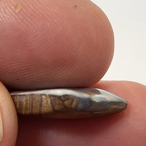 May include: A close-up of a small, teardrop-shaped opal cabochon with brown, white, and gray banding. The opal is set in a silver setting and is being held by a finger.
