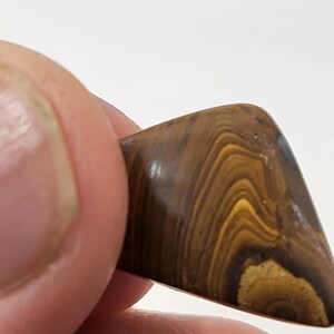 May include: A brown and gold banded agate gemstone with a triangular shape.