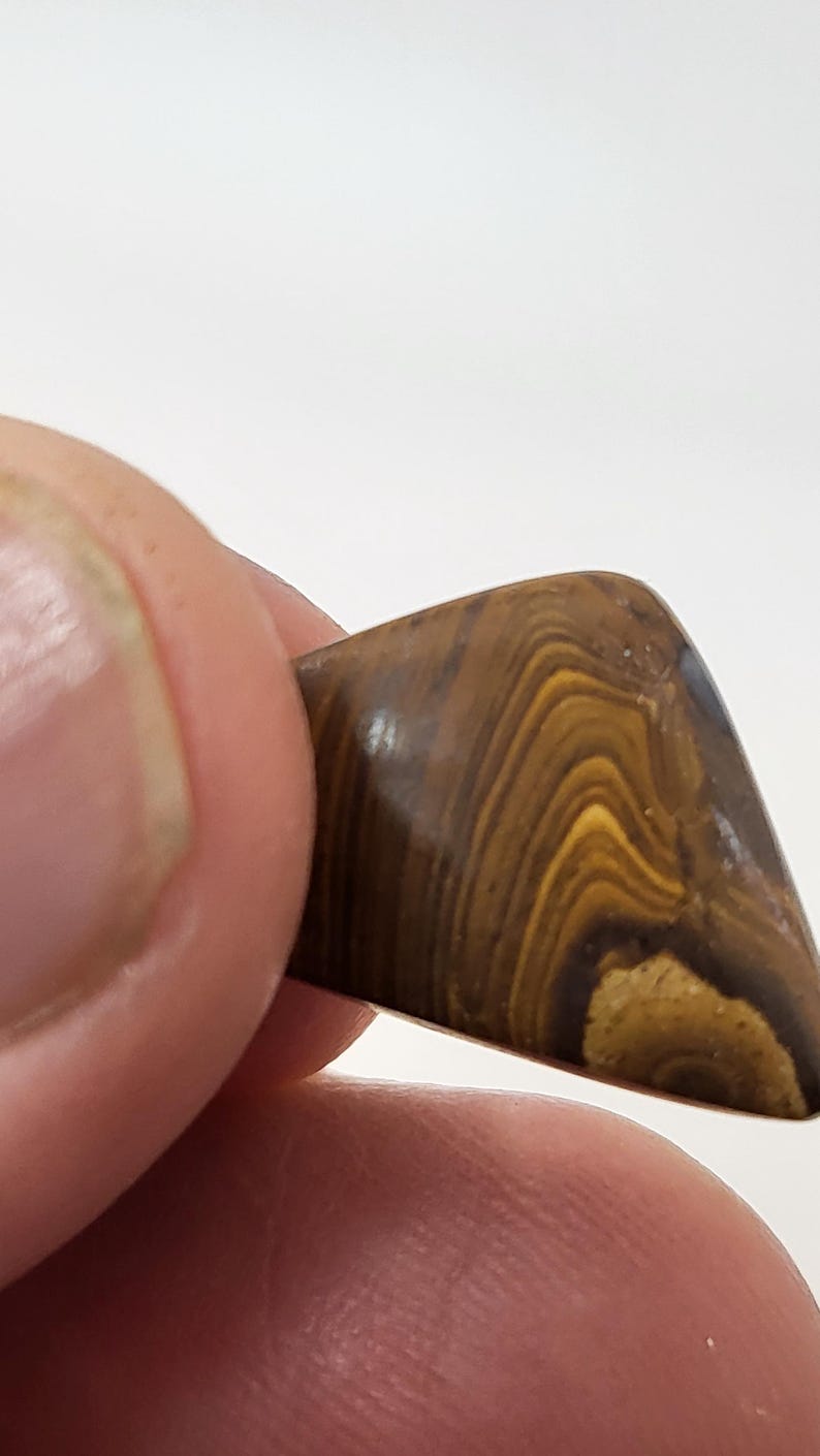 May include: A brown and gold banded agate gemstone with a triangular shape.