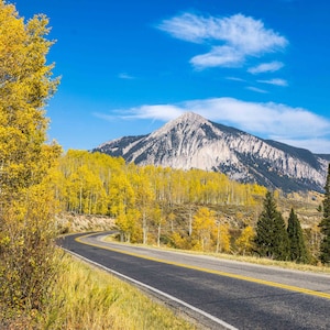 Crested Butte Fall Collection, Colorado, Crested Butte, Fall, Gold, Rocky Mountains, Blue Sky,  Aspens, Paper Prints, Metal Prints, Autumn
