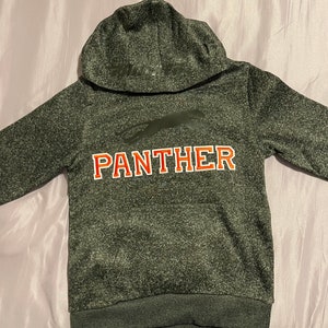 May include: A dark green hooded sweatshirt with a black panther silhouette and the word "PANTHER" in orange lettering.
