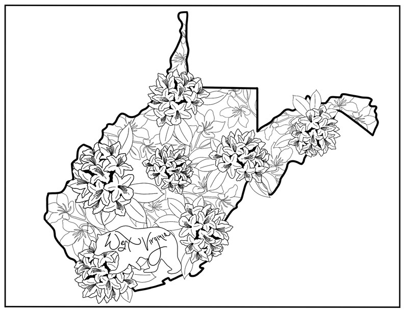state coloring page, West Virginia, flowers, state flower, animal, state animal, USA coloring pages, digital download, digital coloring page image 1