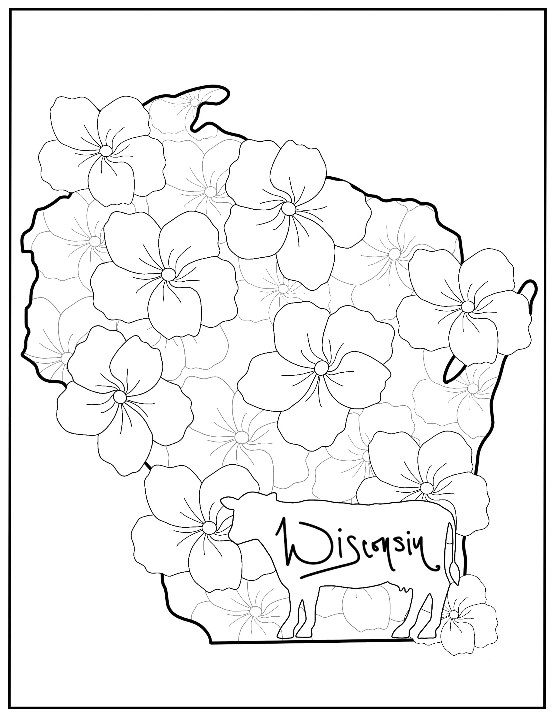 Illinois State Flower Coloring Pages