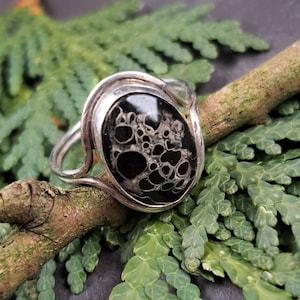 Puede incluir: Un anillo de plata con una piedra negra ovalada con un patrón claro único. El anillo está colocado sobre una rama natural, rodeado de follaje verde, creando una estética inspirada en la naturaleza. El diseño del anillo es llamativo.