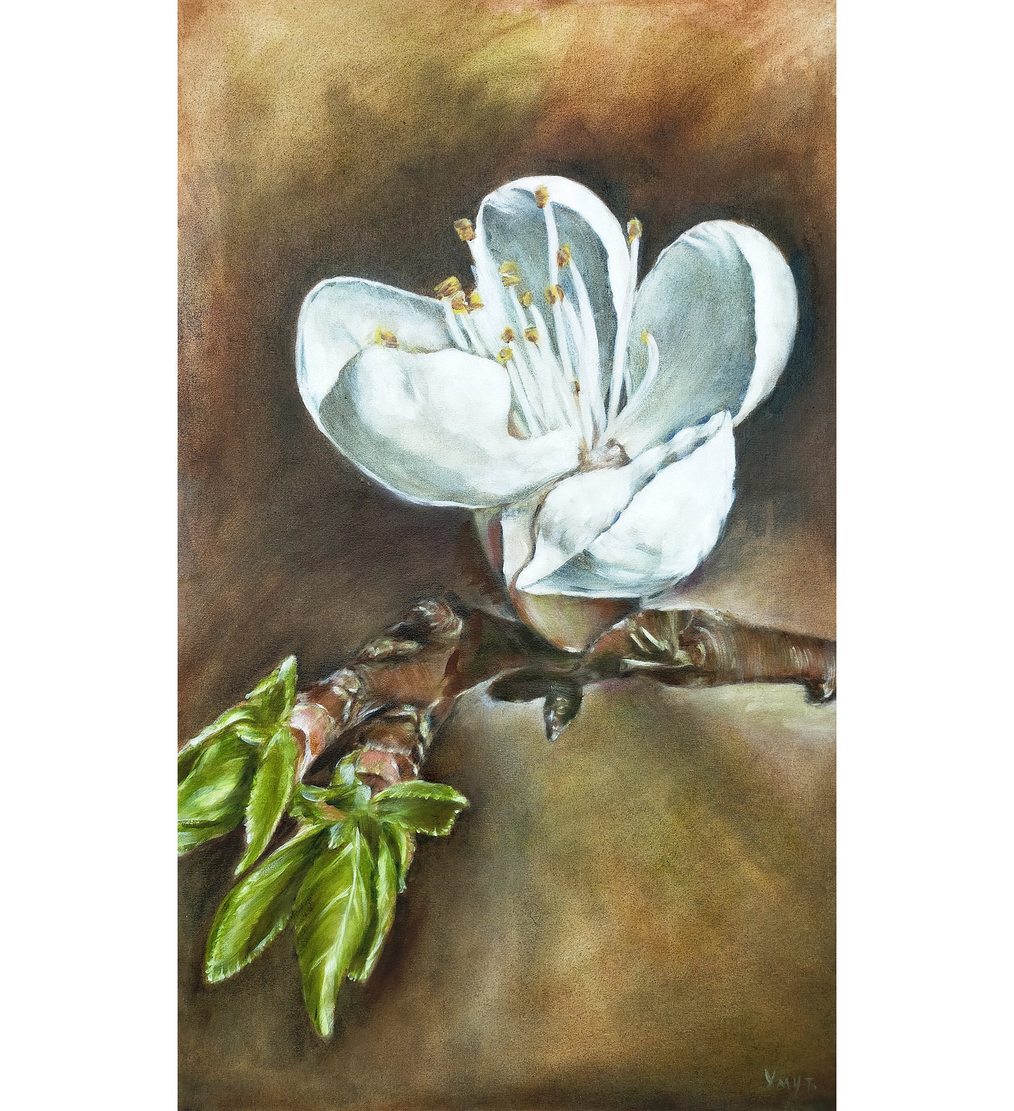 Apple Blossom Art Original Art Floral Apple Blossom Wall Art Etsy