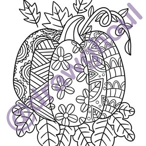 May include: A black and white line drawing of a pumpkin with intricate patterns and leaves. The pumpkin is surrounded by leaves and vines.