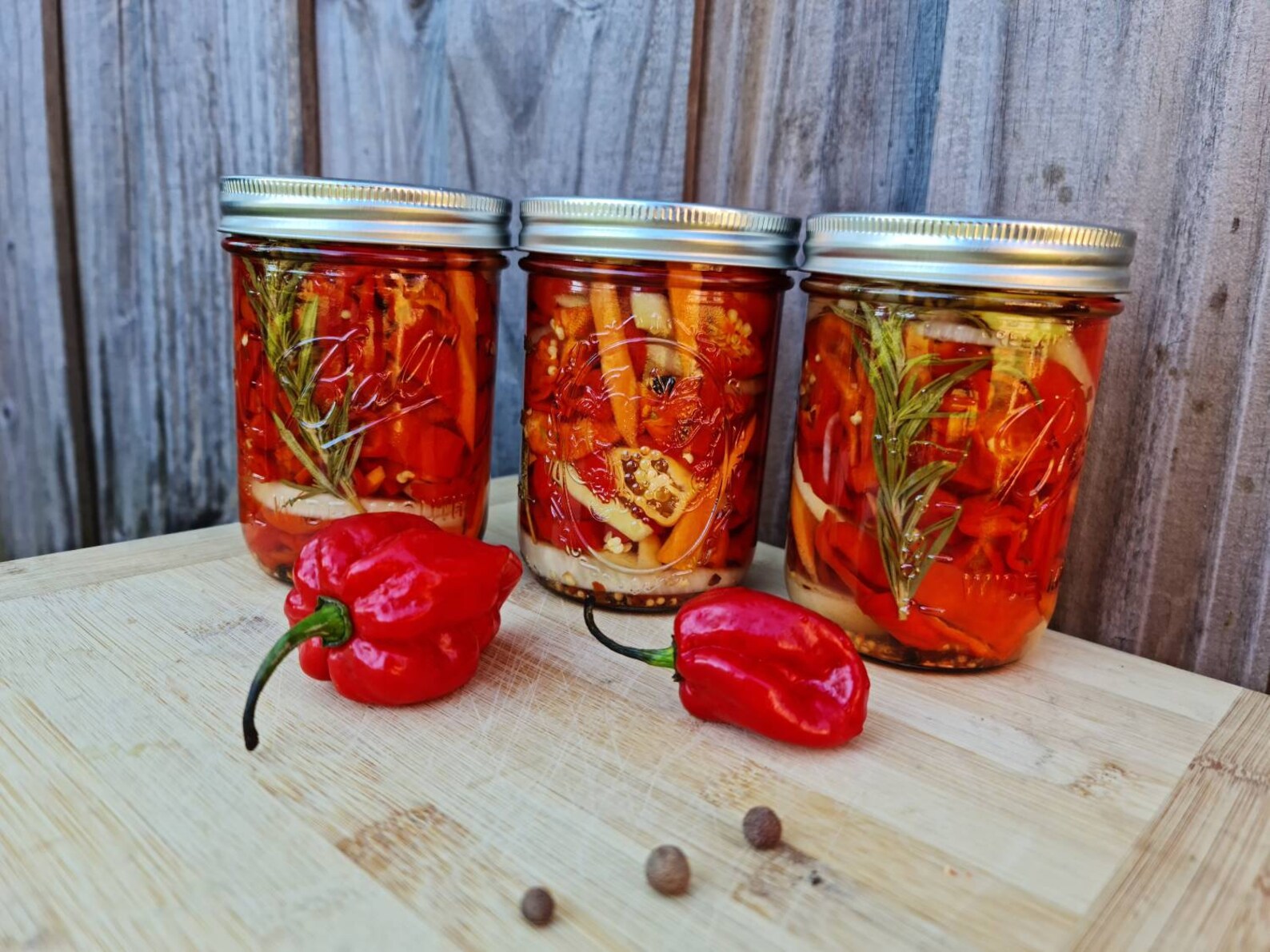One Habanero Hot Peppers Jars Picked Peppers, Fresh Chop 16 Oz Pepper