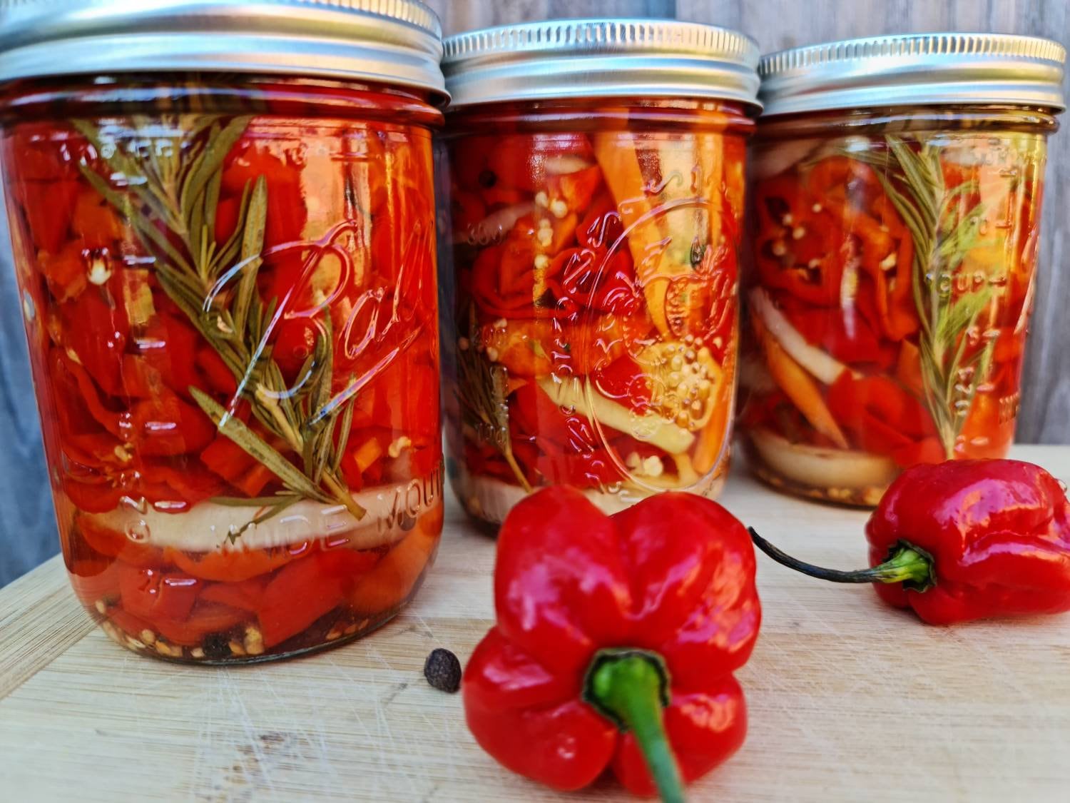 One Habanero Hot Peppers jars picked Peppers, Fresh chop 16 oz Pepper
