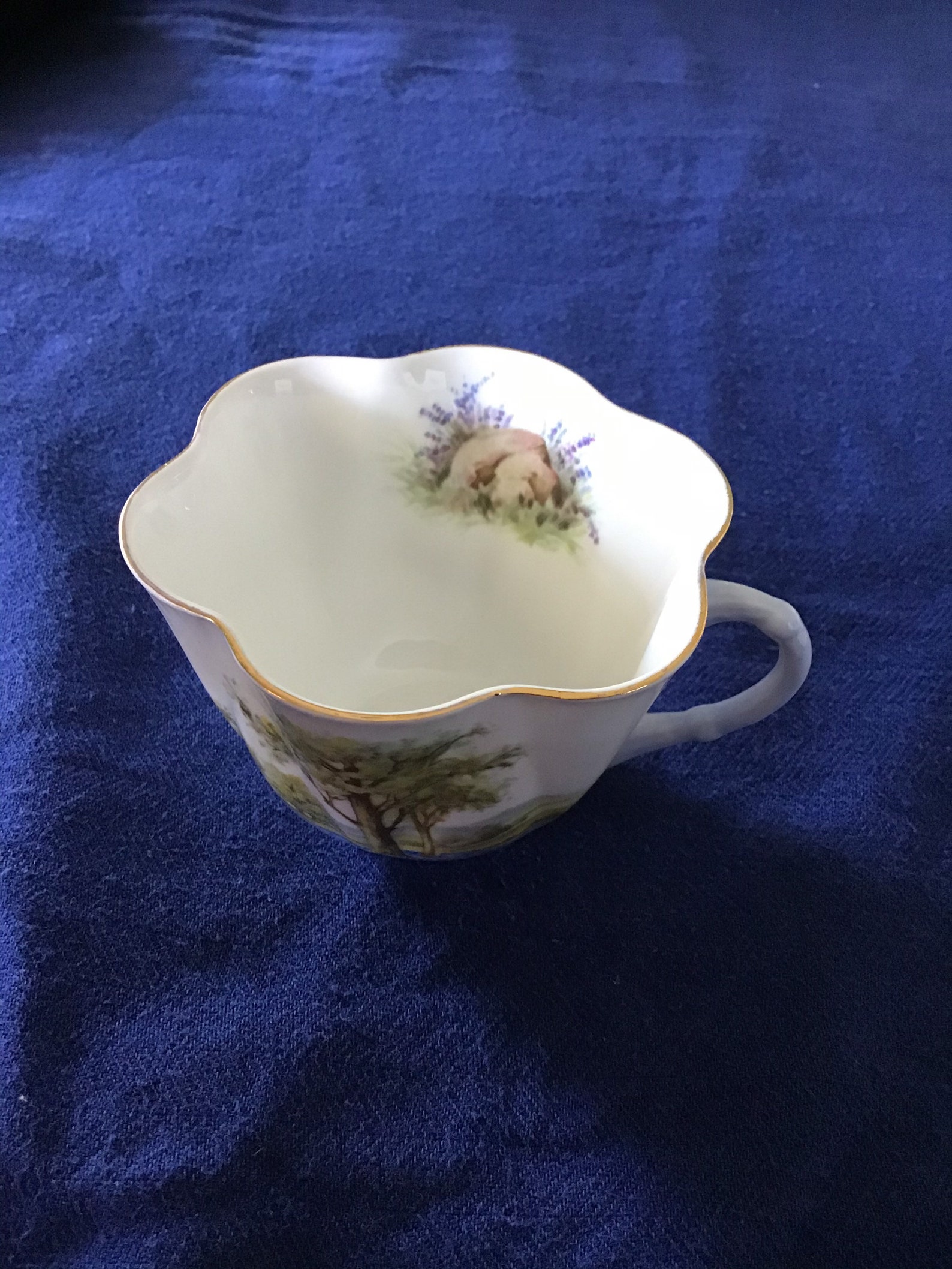 Shelley English Fine Bone China bluebell Wood Tea Cup & Etsy