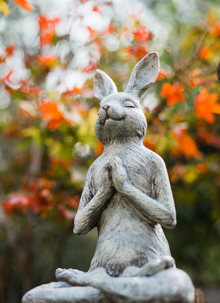 Geschenke für Yoga-Liebhaber Kunstharz Terrasse Veranda für Garten Hof Skulptur Büro Meditation niedliches Kaninchen Zuhause Tier Meditierende Yoga-Statue Dekoration für Auto Geschenke für Yoga-Liebhaber Kunstharz Terrasse Veranda für Garten Hof Skulptur Büro Meditation niedliches Kaninchen Zuhause Tier Meditierende Yoga-Statue Dekoration für Auto