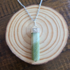 Serpentine Pendant on a Stainless Steel Necklace