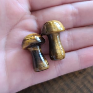 Tiger Eye Worry Stone Mushroom Pocket Carving