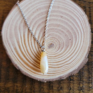 Botswana Agate Dainty Teardrop Pendant Necklace